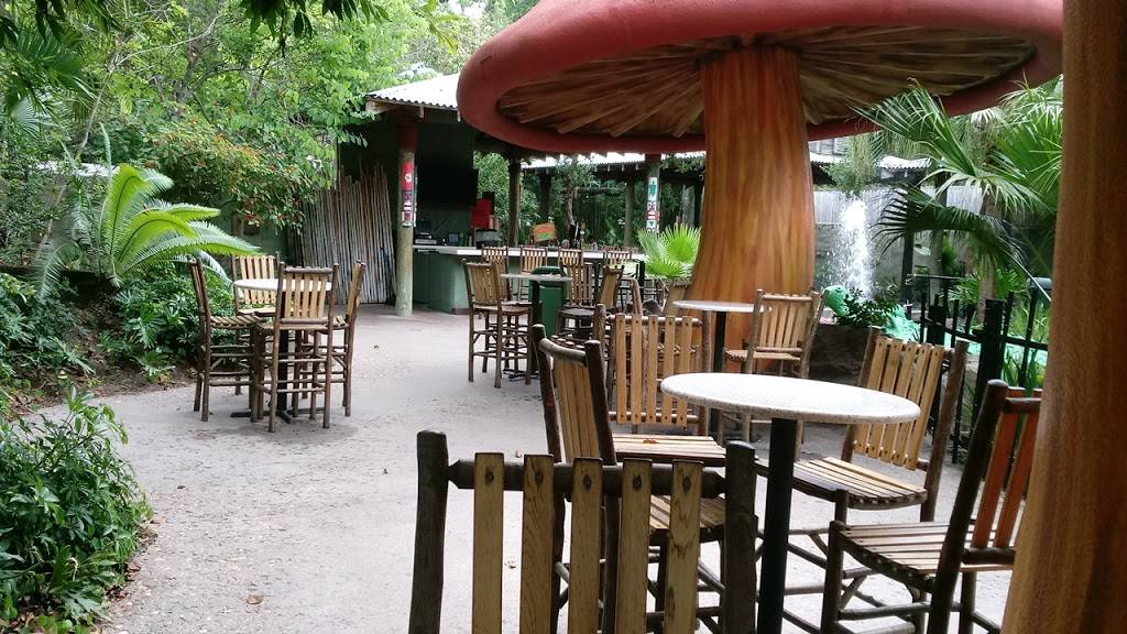 Rainforest Cafe | restaurant | 505 Rain Forest Rd, Lake Buena Vista, FL 32830, USA | 4079389100 OR +1 407-938-9100