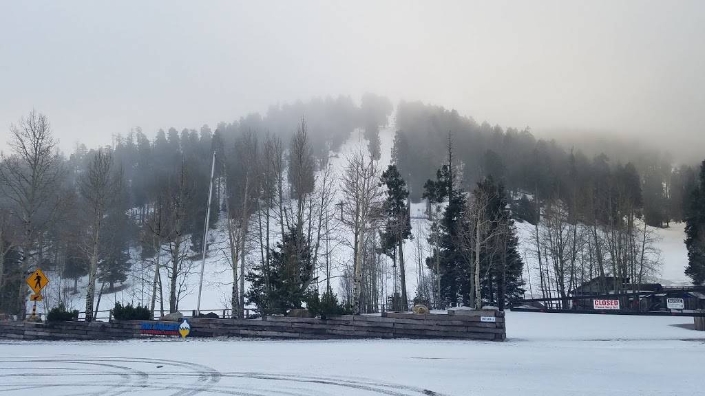 Iron Door | restaurant | 10300 E Ski Run Rd, Mt Lemmon, AZ 85619, USA | 5205761321 OR +1 520-576-1321