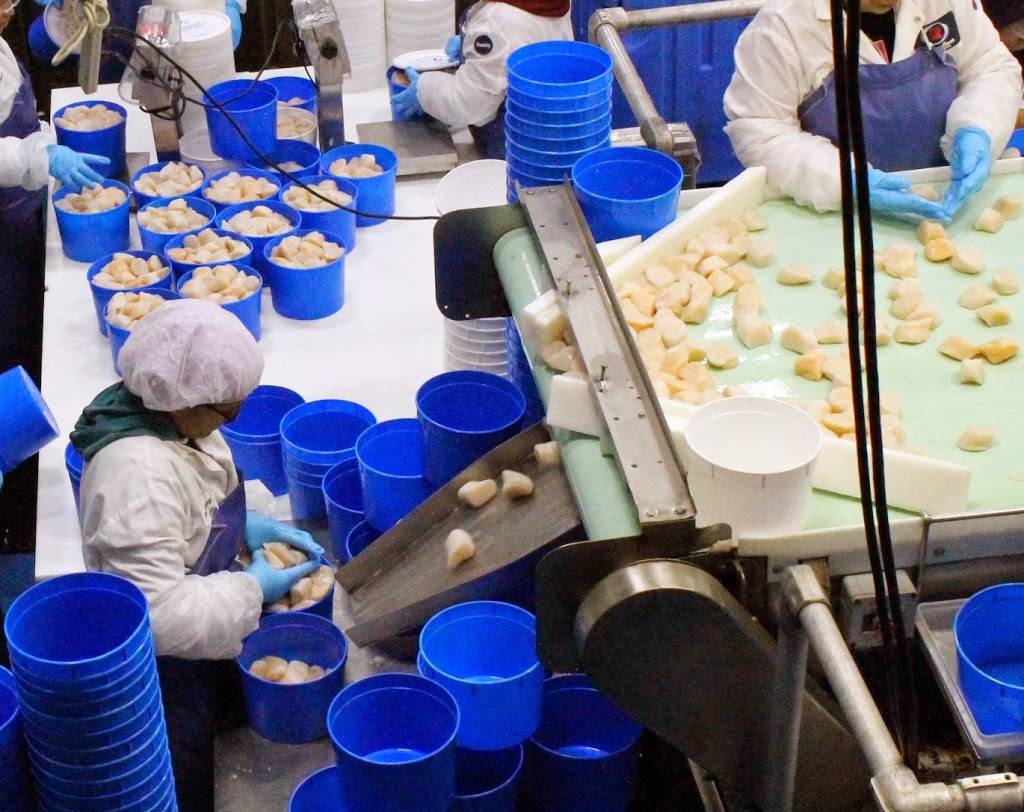 Oceans Fleet Fisheries, Inc. | restaurant | 20 Blackmer St, New Bedford, MA 02744, USA | 5089963742 OR +1 508-996-3742