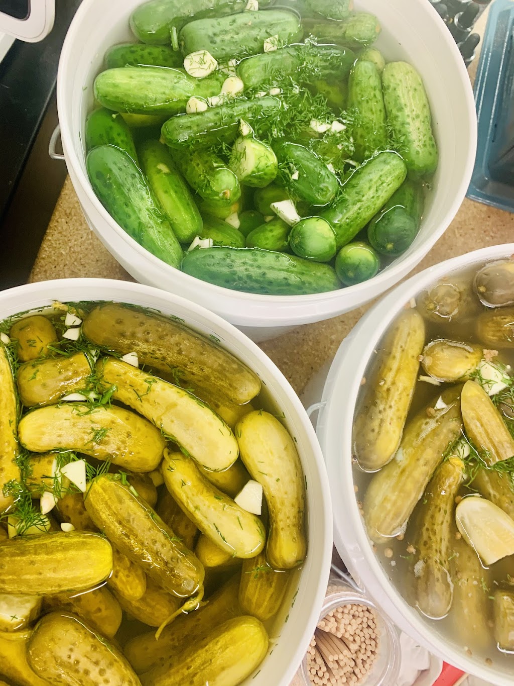 Pickle Island | restaurant | 18 Forest Ave, Glen Cove, NY 11542, USA | 5164441280 OR +1 516-444-1280