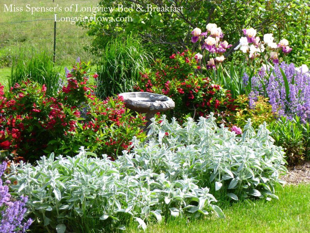 Miss Spensers Special-Teas & Longview Bed and Breakfast | cafe | 3220 Wyoming St, New Virginia, IA 50210, USA | 6413421547 OR +1 641-342-1547