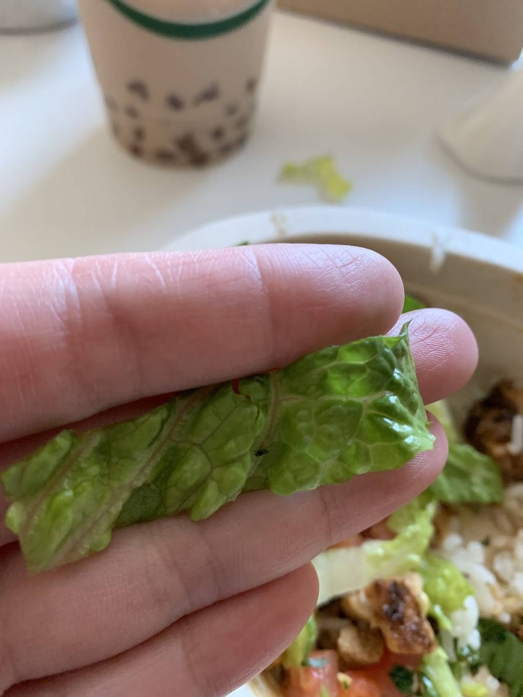 Chipotle Mexican Grill | restaurant | 13768 Northwest Fwy, Houston, TX 77040, USA | 7139969047 OR +1 713-996-9047