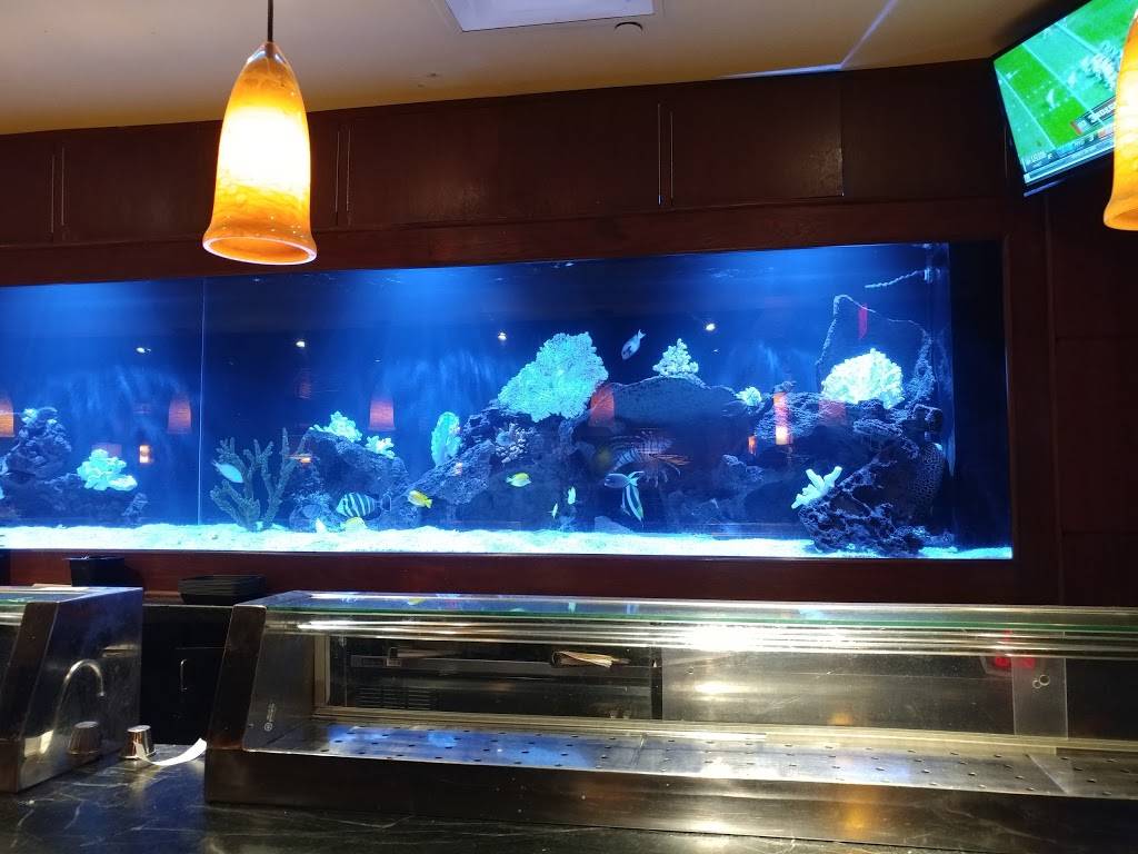 Kona Grill | restaurant | 295 North 170th Street, Village Pointe Shopping Center, Omaha, NE 68118, USA | 4027792900 OR +1 402-779-2900