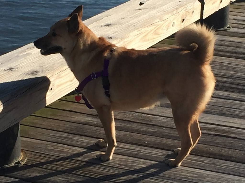 Jacobson Building at 19 Broad Street | cafe | 19 Broad St, Charleston, SC 29401, USA | 8436976709 OR +1 843-697-6709