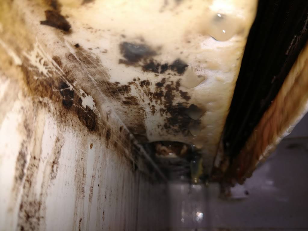 Subway | restaurant | 3710 US-501, Myrtle Beach, SC 29579, USA | 8439035726 OR +1 843-903-5726