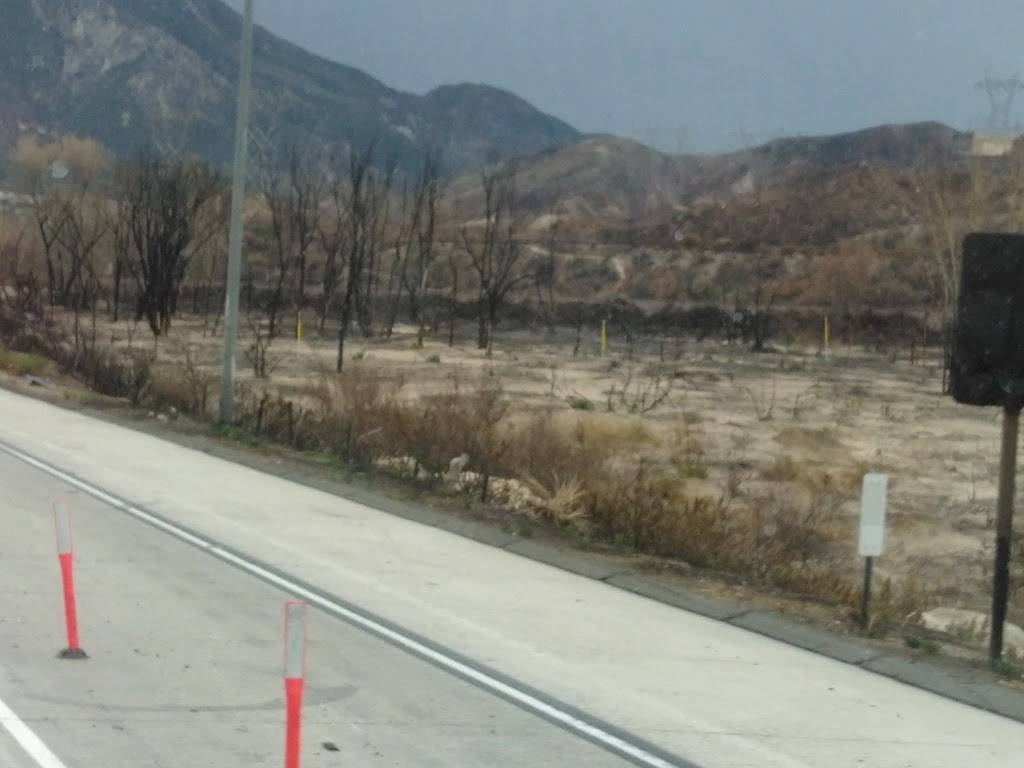 Subway | restaurant | 14949 Cajon Blvd, Phelan, CA 92371, USA | 7602495947 OR +1 760-249-5947