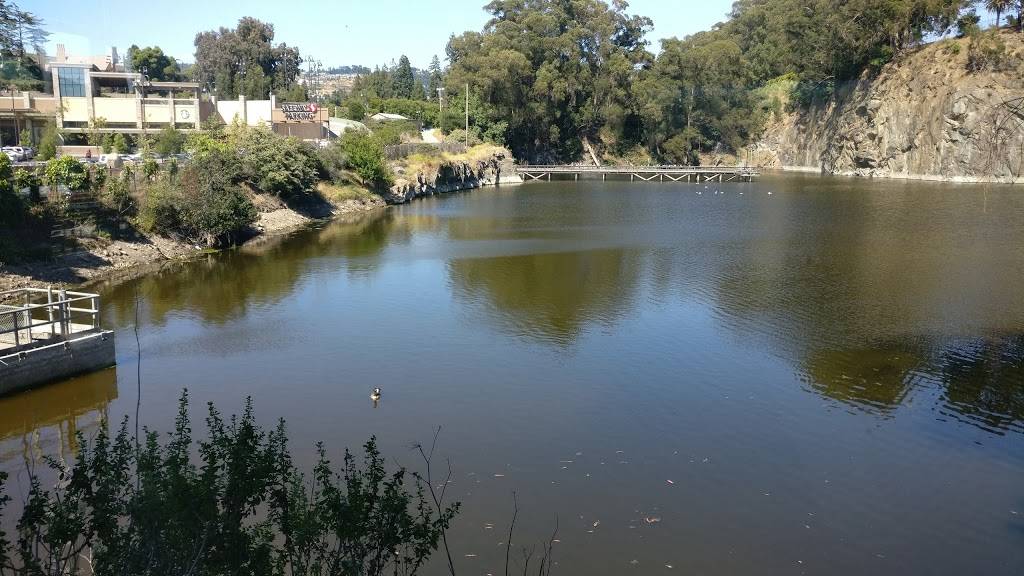 Starbucks | cafe | 1982 Pleasant Valley Blvd, Oakland, CA 94611, USA | 5104500200 OR +1 510-450-0200