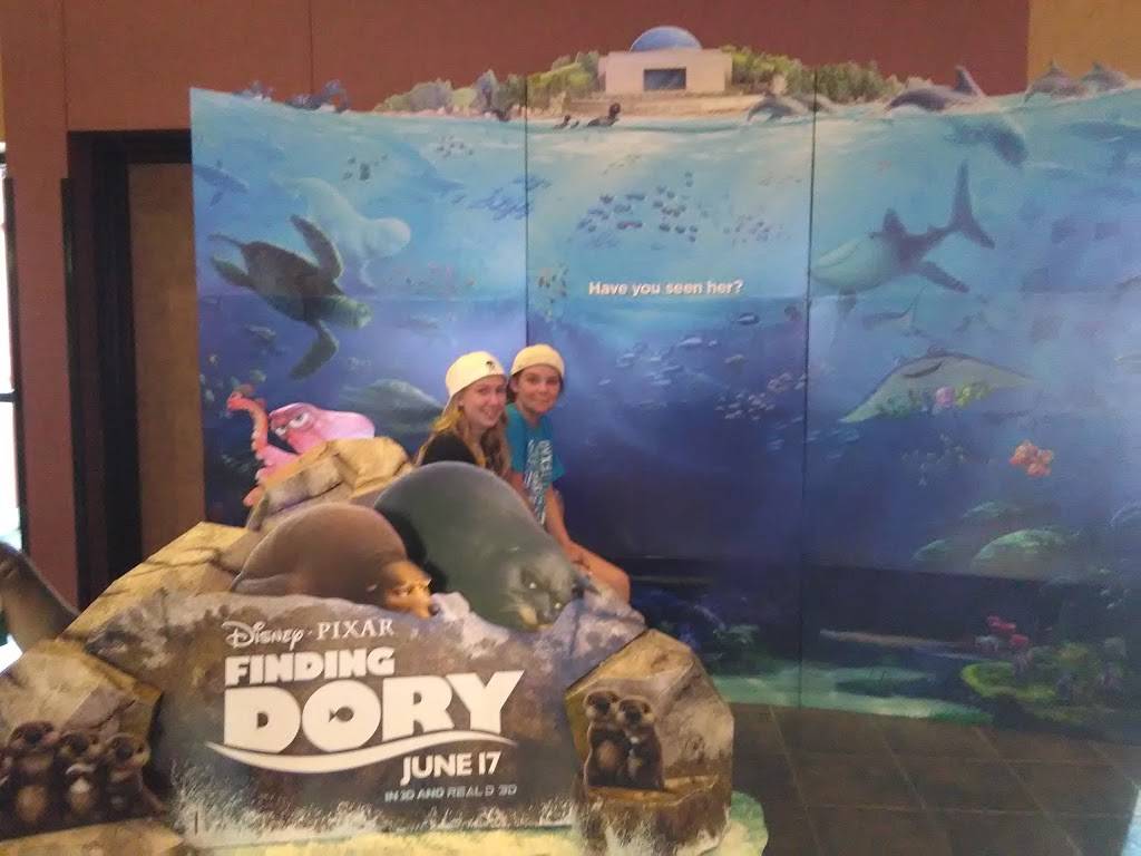 Cinemark 14 Mansfield Town Center | meal takeaway | 2355 Walker Lake Rd, Ontario, OH 44906, USA | 4195897300 OR +1 419-589-7300