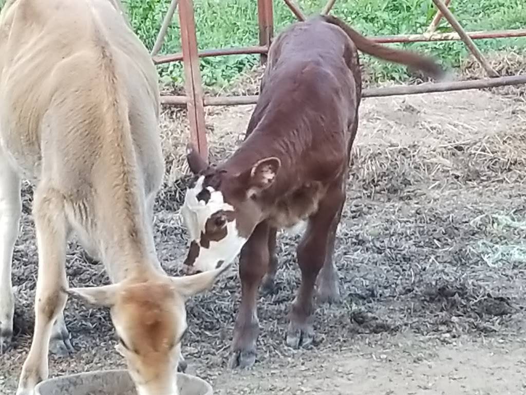 Snookums Steakhouse | restaurant | 806 E Main St #1706, Henderson, TN 38340, USA | 7319893490 OR +1 731-989-3490