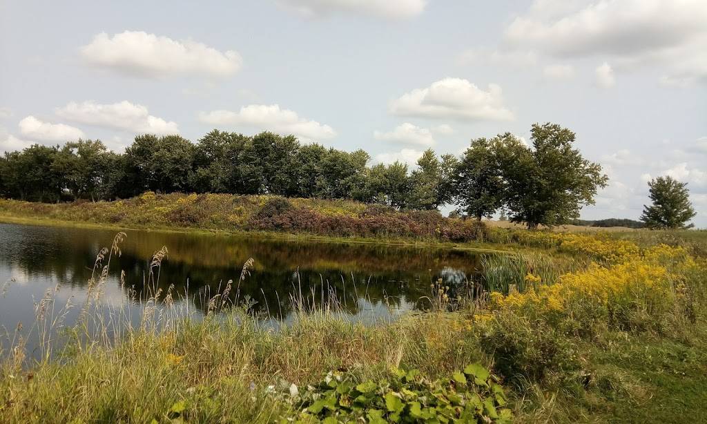 Southern Pines Golf & Country Club | meal takeaway | 8453 Airport Rd E, Mount Hope, ON L0R 1W0, Canada | 9056796308 OR +1 905-679-6308