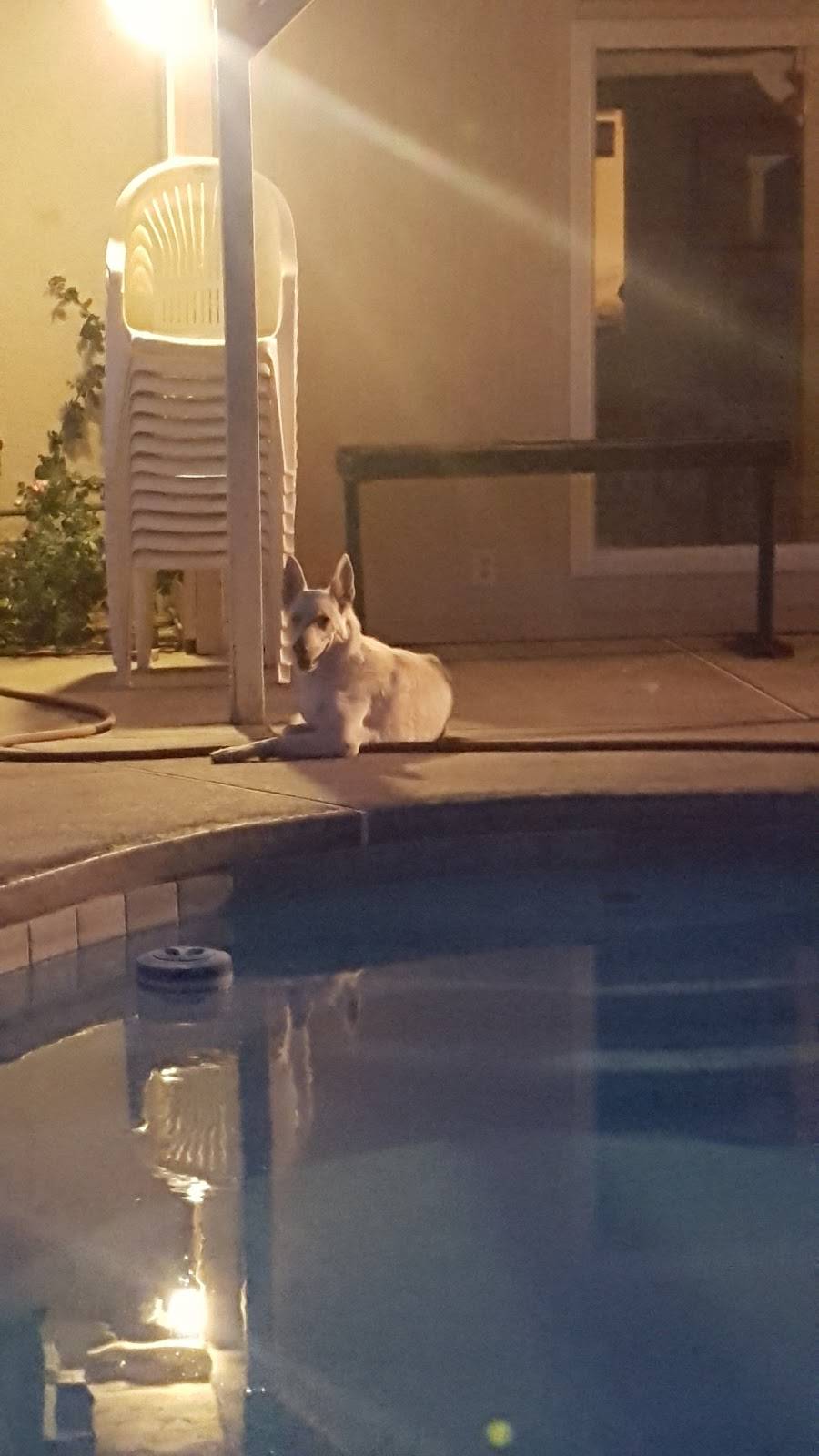 Torres Room & Board | restaurant | 16175 Pine Ave, Fontana, CA 92335, USA | 9098544219 OR +1 909-854-4219