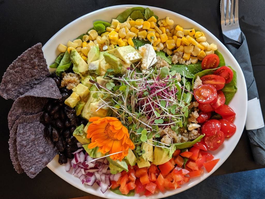 Velō Cafe | cafe | 13425 Co Hwy M, Cable, WI 54821, USA | 7157988356 OR +1 715-798-8356