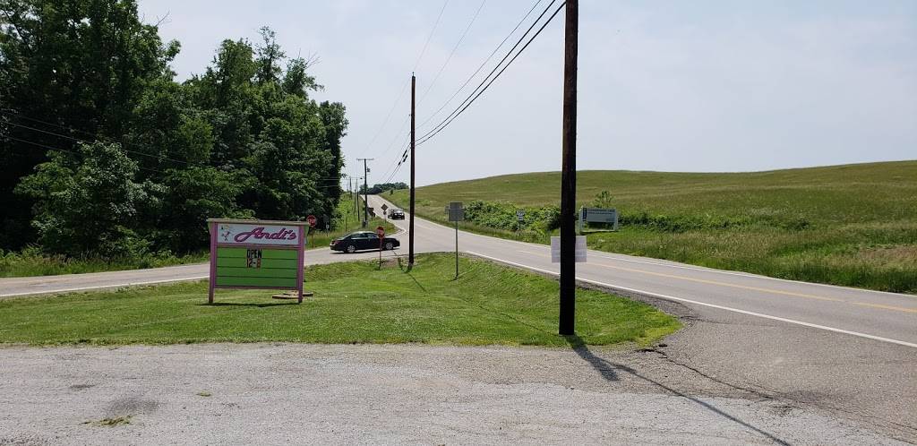 Andis Point Drive In | restaurant | 30600 Clendening Lake Rd, Freeport, OH 43973, USA | 7406581110 OR +1 740-658-1110