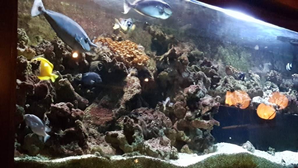 47e Parallèle | restaurant | 333 Rue Jacques-Parizeau, Québec, QC G1R 5G2, Canada | 4186924747 OR +1 418-692-4747