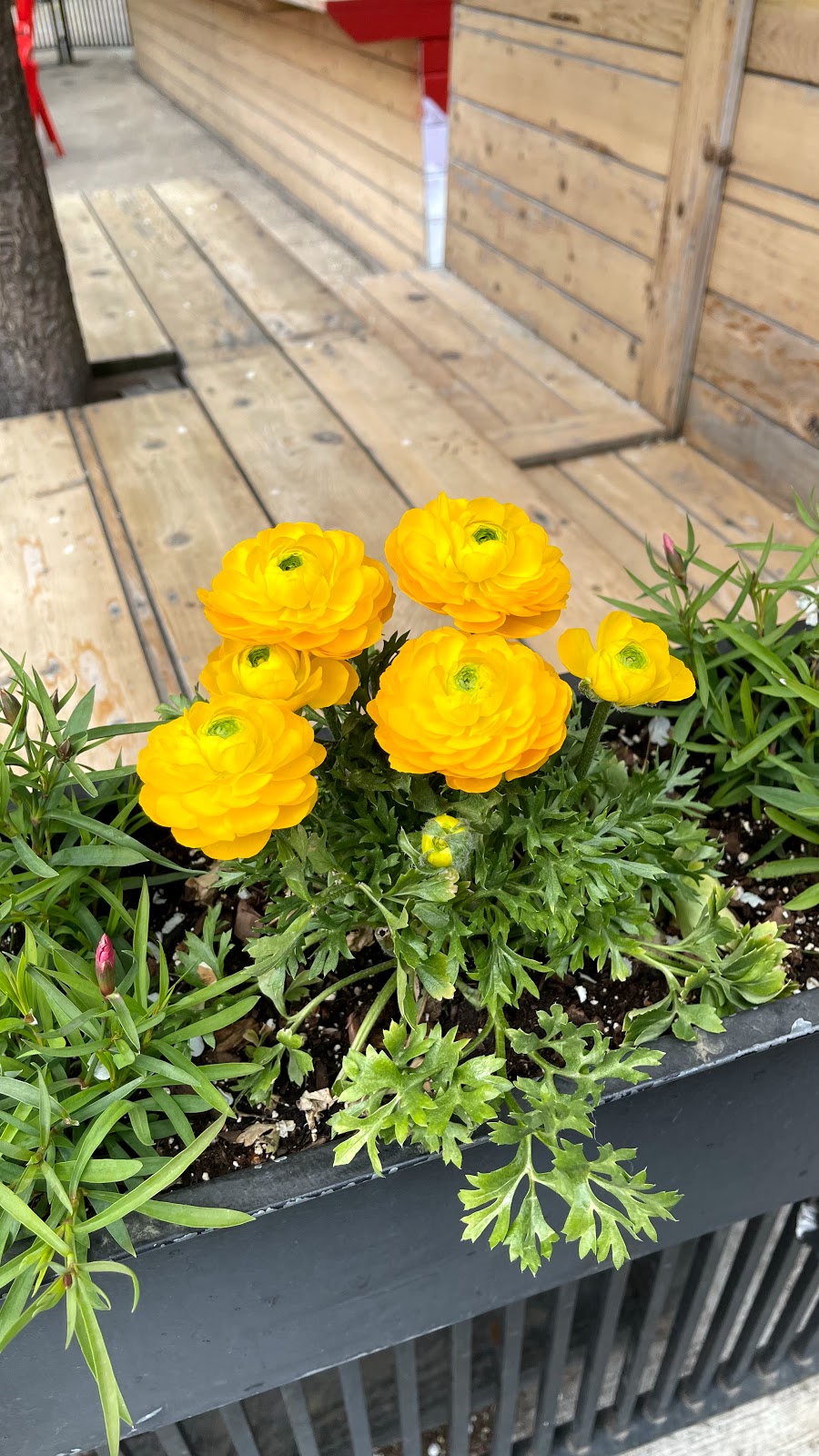 Flash Taco Wicker Park | restaurant | 1570 N Damen Ave., Chicago, IL 60622, USA | 7737721997 OR +1 773-772-1997