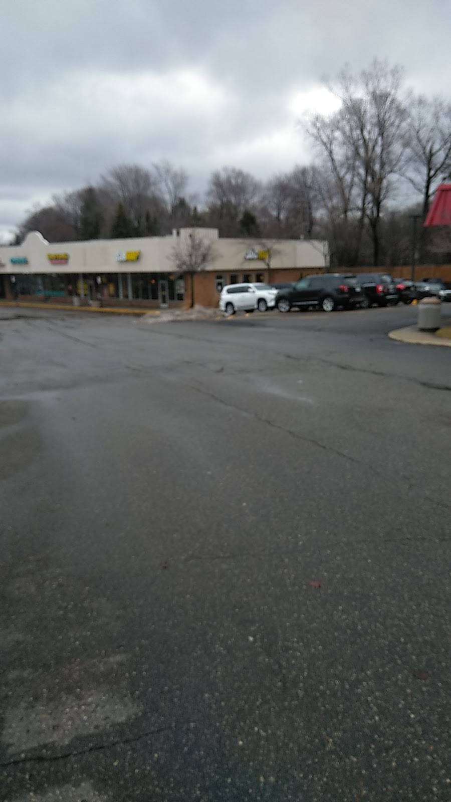 Subway | restaurant | 1619 S Opdyke Rd, Bloomfield Hills, MI 48304, USA | 2483350361 OR +1 248-335-0361