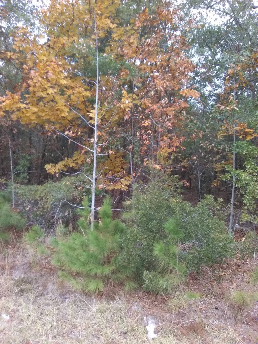 Thanks for visiting Authentic Chinese Cuisine in Milford | restaurant | 868 Boston Post Rd, Milford, CT 06460, USA | 2038786666 OR +1 203-878-6666