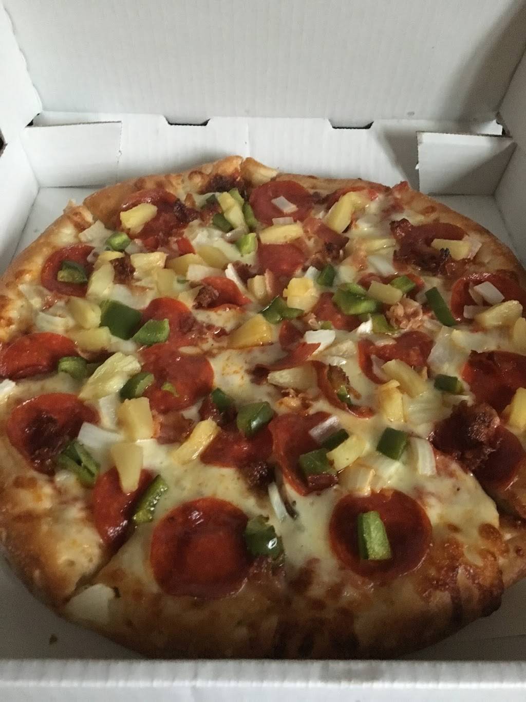 Ginos Pizza & Sub Station | restaurant | 2805 Lewis Ave, Ida, MI 48140, USA | 7342696007 OR +1 734-269-6007