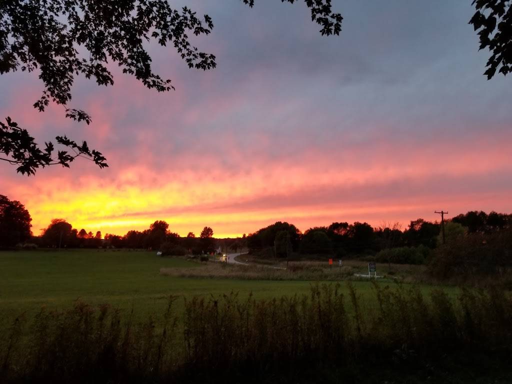 Little Caesars Pizza | meal takeaway | 204 Waterford St, Edinboro, PA 16412, USA | 8147347492 OR +1 814-734-7492