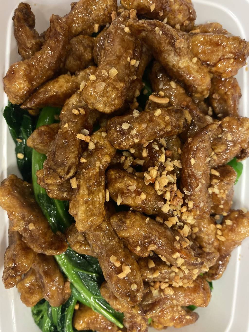 East Ocean | restaurant | 21A Billings Rd, North Quincy, MA 02171, USA | 6174726868 OR +1 617-472-6868