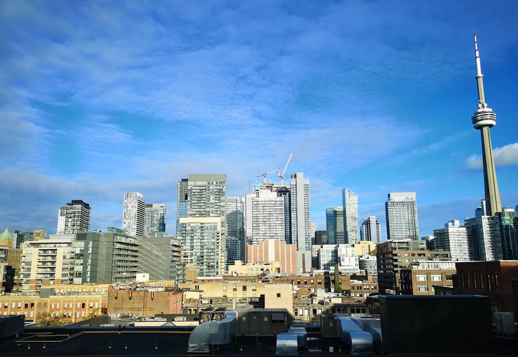 Bar Buca | restaurant | 75 Portland St, Toronto, ON M5V 2M9, Canada | 4165992822 OR +1 416-599-2822