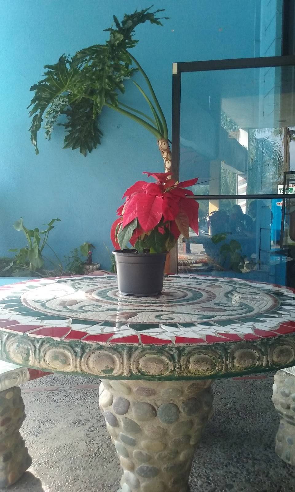 Puebla Tacos 2 | restaurant | 1819 E Villa St, Pasadena, CA 91107, USA | 6267931083 OR +1 626-793-1083