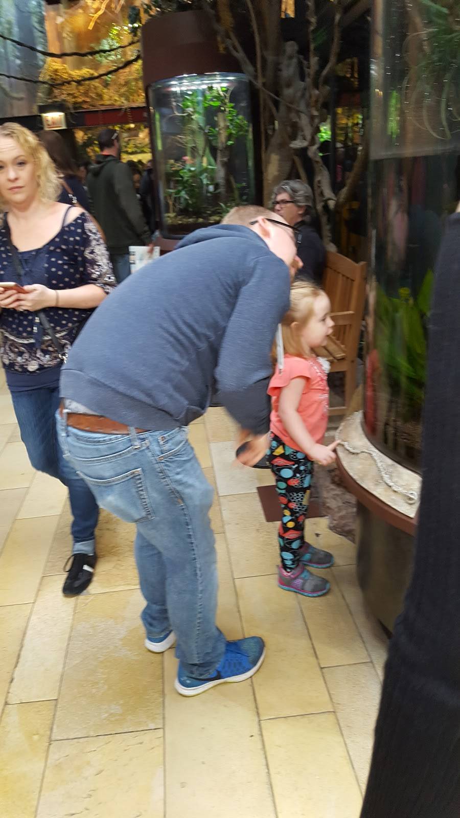 Soundings Cafe | restaurant | 1200 S Lake Shore Dr, Chicago, IL 60605, USA | 3126923277 OR +1 312-692-3277