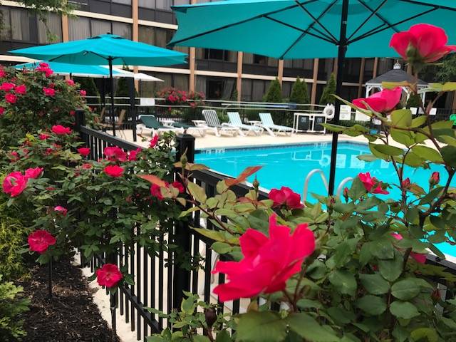 Holiday Inn Westbury - Long Island | restaurant | 369 Old Country Rd, Carle Place, NY 11514, USA | 5169975000 OR +1 516-997-5000