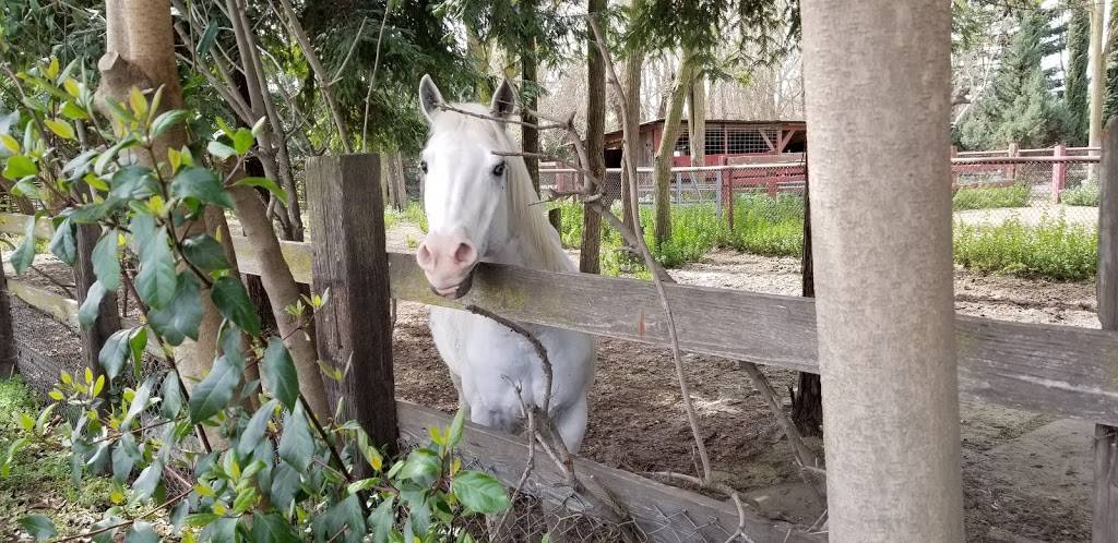 Finleys Bar & Grill | restaurant | 10477 S Airport Way, Manteca, CA 95336, USA | 2099839493 OR +1 209-983-9493