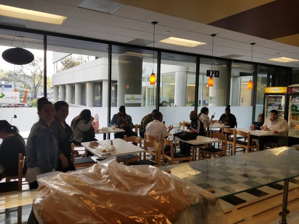 Catus Cafe Galleria | cafe | 1200 Concord Ave, Concord, CA 94520, USA | 9257983200 OR +1 925-798-3200