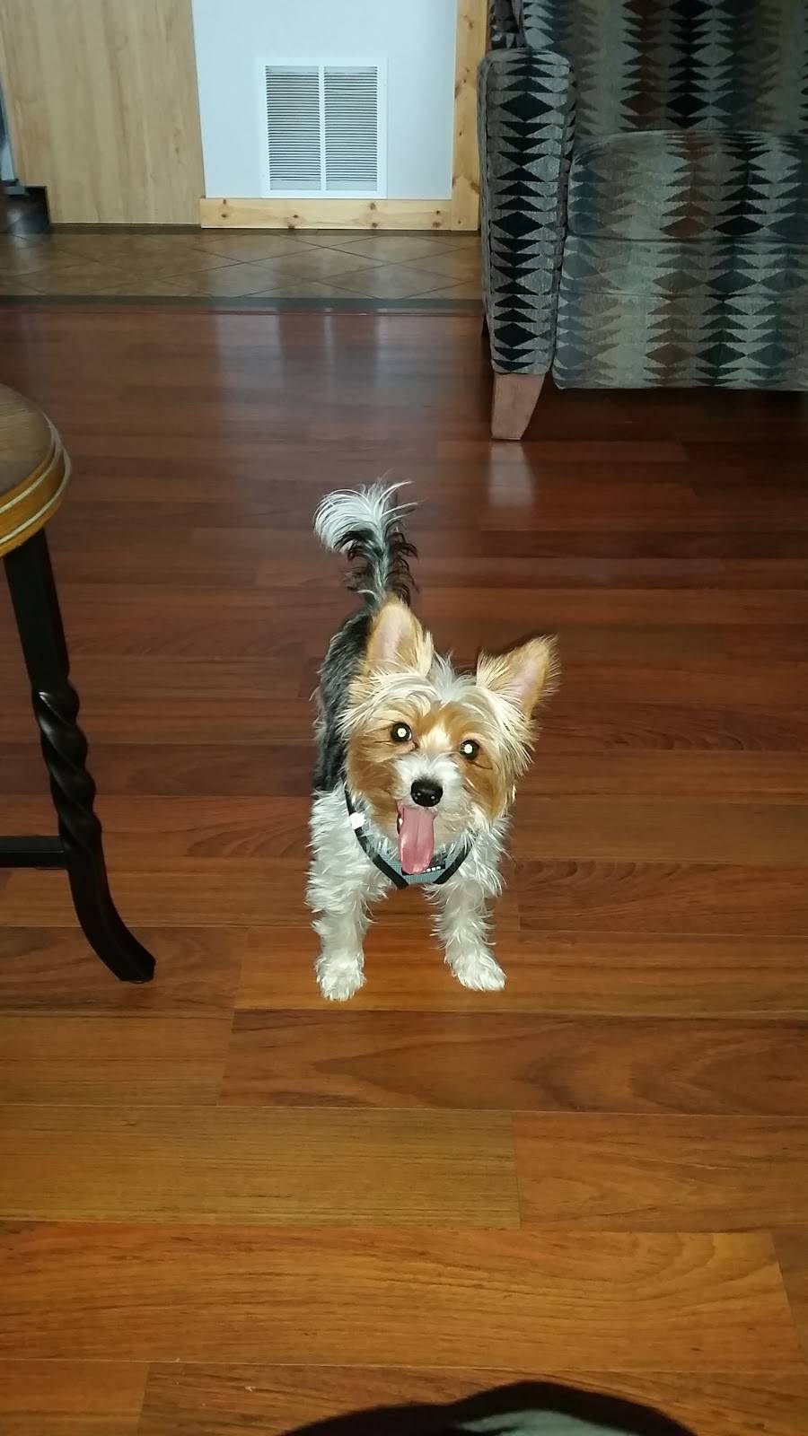 Quiznos | restaurant | 525 MN-25, Monticello, MN 55362, USA | 7632958988 OR +1 763-295-8988