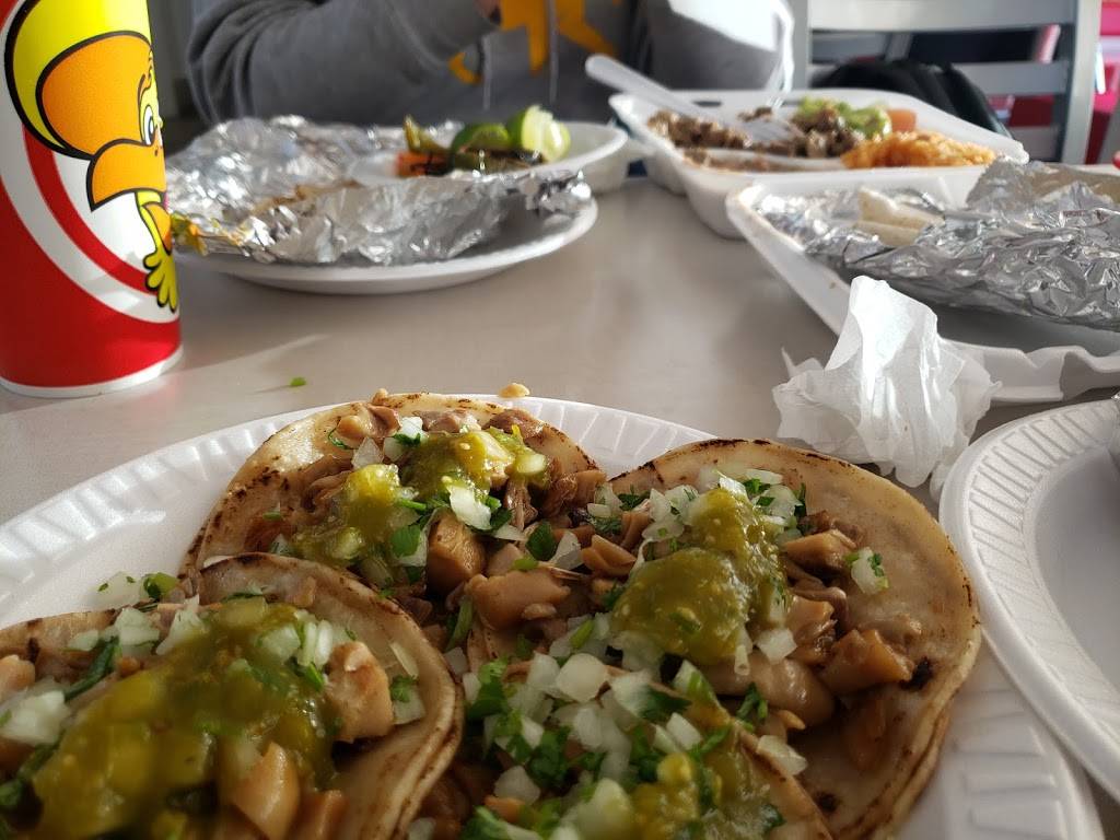 Tacos Gavilan | restaurant | 3204, 3220 E Imperial Hwy, Lynwood, CA 90262, USA | 4247855535 OR +1 424-785-5535