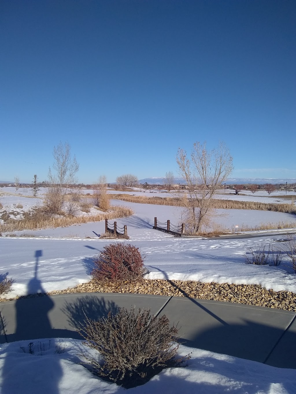 Remington’s At the Bridges | restaurant | 2500 Bridges Cir, Montrose, CO 81401, USA | 9702521119 OR +1 970-252-1119