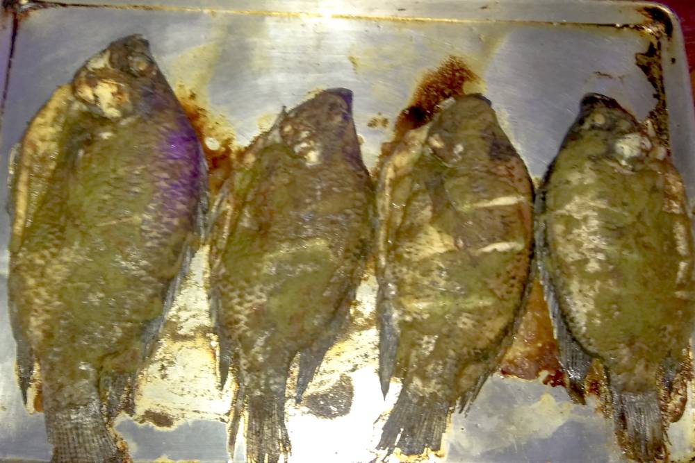 Congress+ Restaurant | restaurant | 6834 New Hampshire Ave, Takoma Park, MD 20912, USA | 2408477024 OR +1 240-847-7024