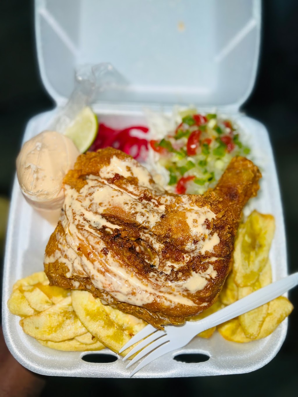 Brother Forever (Food Truck) | restaurant | 8338 Wednesbury Ln, Houston, TX 77074, USA | 8326227785 OR +1 832-622-7785