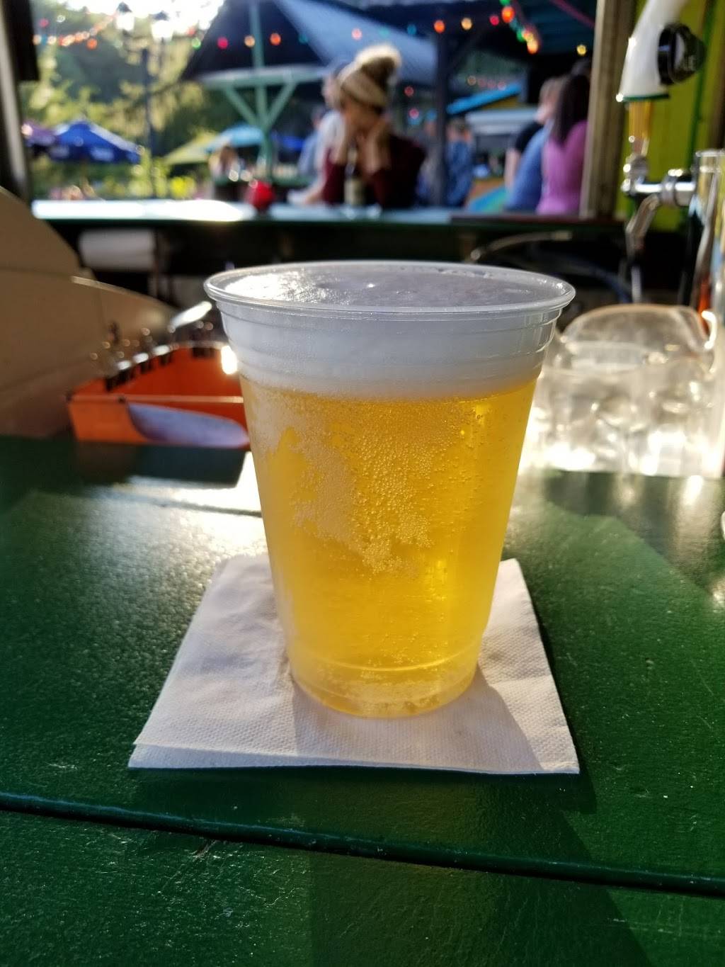 Tiki Bar At Spring Mountain | restaurant | 757 Spring Mt Rd, Schwenksville, PA 19473, USA | 6102873233 OR +1 610-287-3233