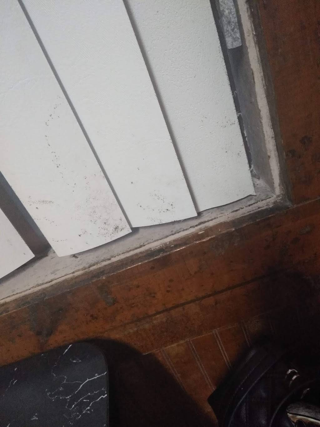 New Hong Kong Restaurant | restaurant | 4500 Altama Ave, Brunswick, GA 31520, USA | 9122649333 OR +1 912-264-9333