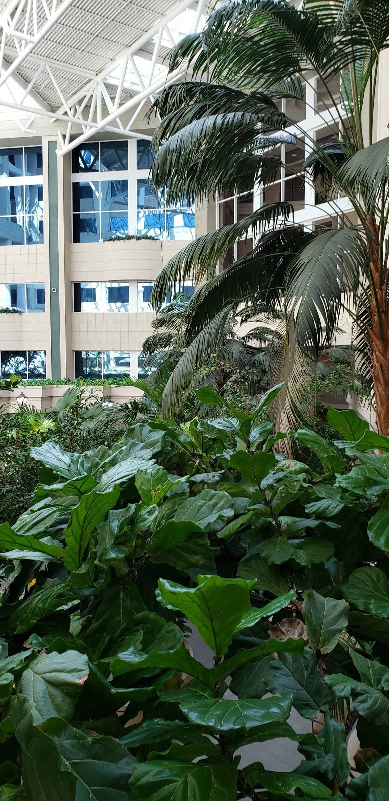 Subway | meal takeaway | 2300 Patterson St, Nashville, TN 37203, USA | 6153424039 OR +1 615-342-4039