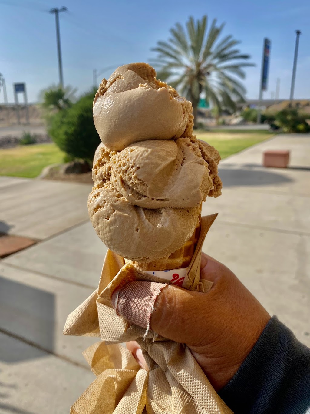 Dateland Travel Center (Autos) | meal takeaway | 1737 Ave 64 E, Dateland, AZ 85333, USA | 9284542772 OR +1 928-454-2772