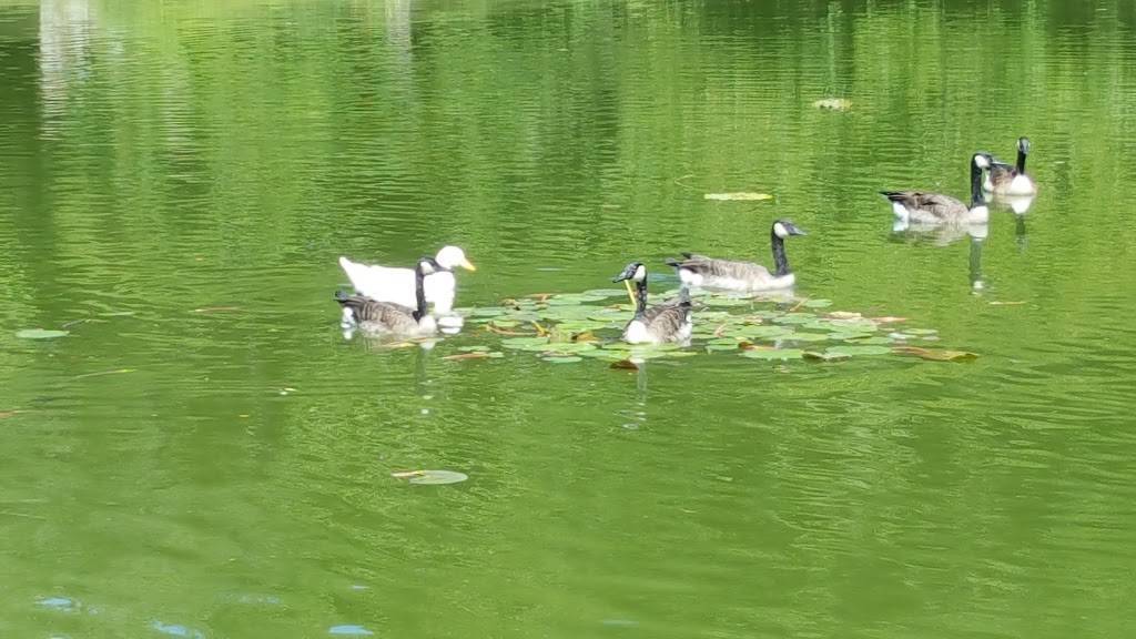 Dairy Queen Grill & Chill | restaurant | 5302 S 72nd St, Ralston, NE 68127, USA | 4026148602 OR +1 402-614-8602