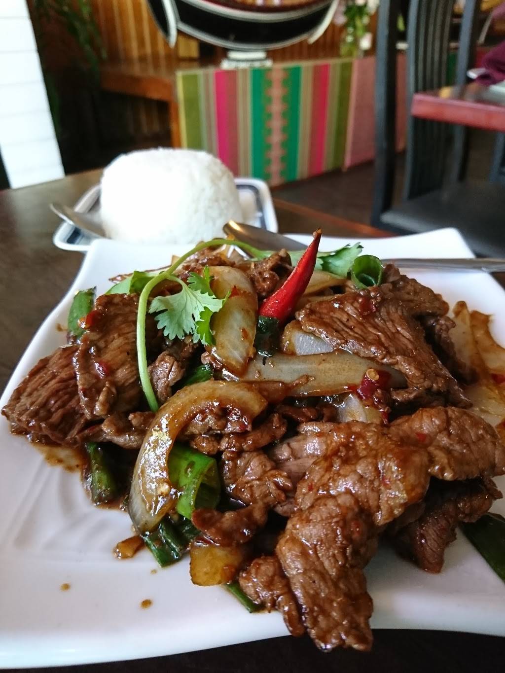 Plearn Thai Restaurant | restaurant | 1923 University Ave, Berkeley, CA 94704, USA | 5105499999 OR +1 510-549-9999