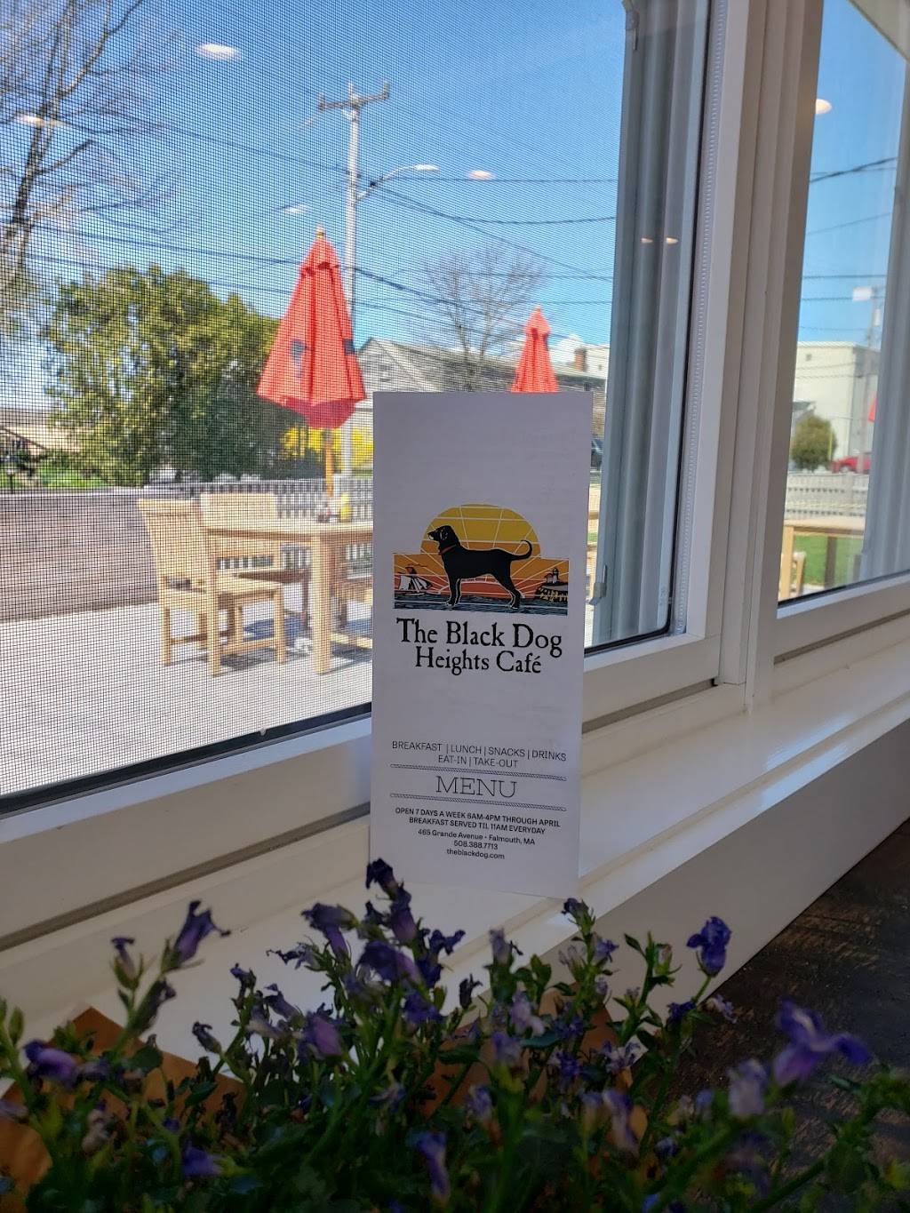 The Black Dog Heights Cafe | cafe | 465 Grand Ave, Falmouth, MA 02540, USA | 5083887713 OR +1 508-388-7713