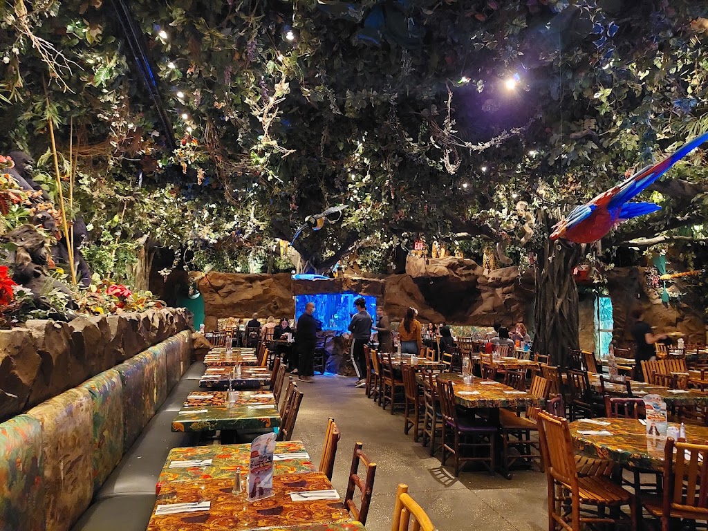 Rainforest Cafe | restaurant | 1800 E Buena Vista Dr, Lake Buena Vista, FL 32830, USA | 4078278500 OR +1 407-827-8500