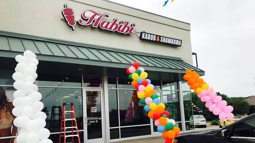Habibi | restaurant | 8222 Holdrege St #10, Lincoln, NE 68505, USA | 4024750066 OR +1 402-475-0066
