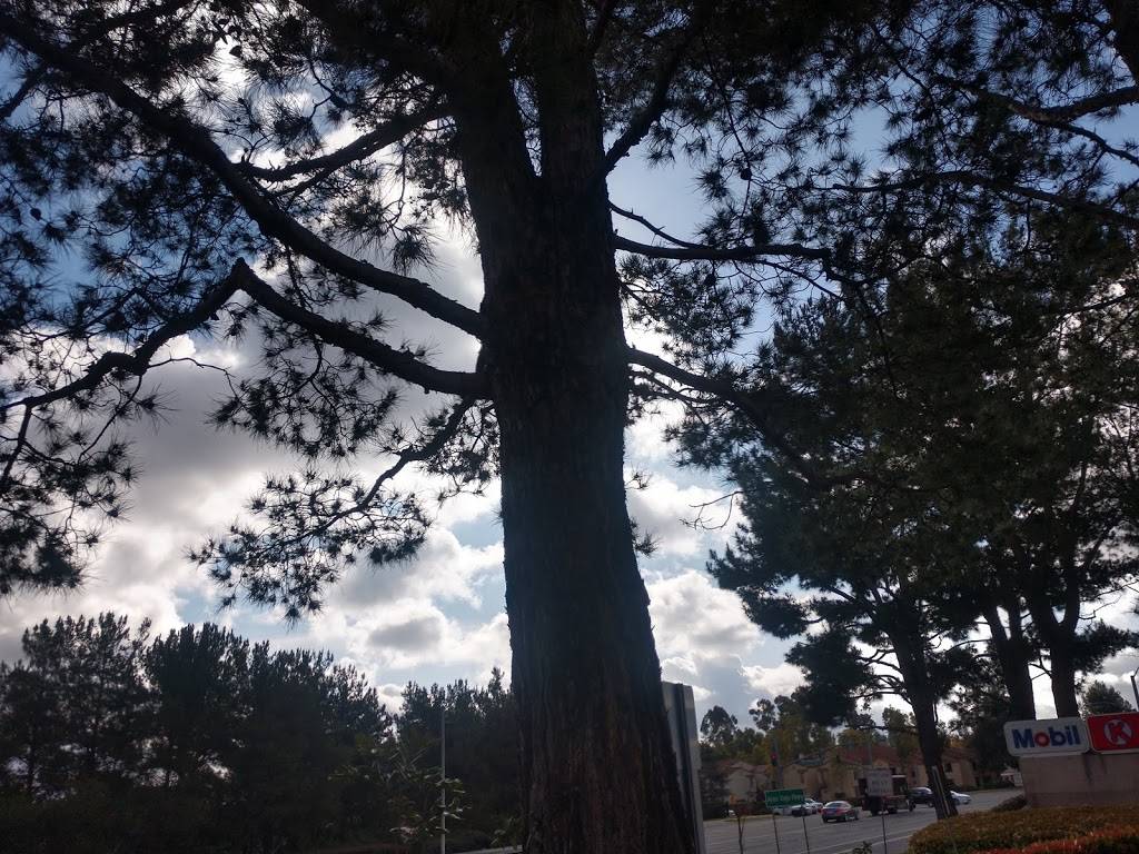 Starbucks | cafe | 23411 Aliso Viejo Pkwy, Aliso Viejo, CA 92656, USA | 9494258520 OR +1 949-425-8520