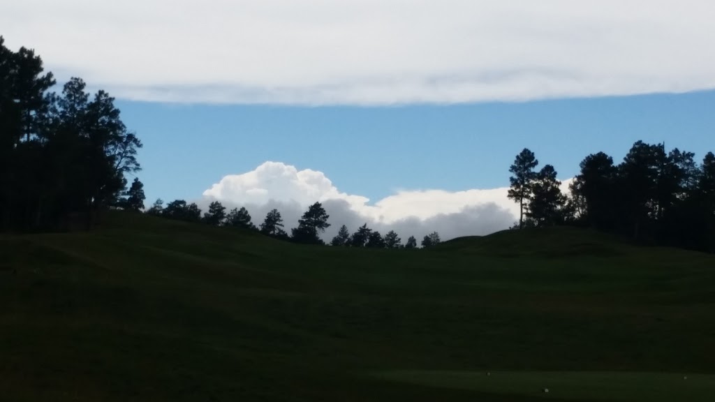 Torreon Golf Cabin Restaurant | restaurant | 4050 W Acer Ln, Show Low, AZ 85901, USA | 9285328000 OR +1 928-532-8000