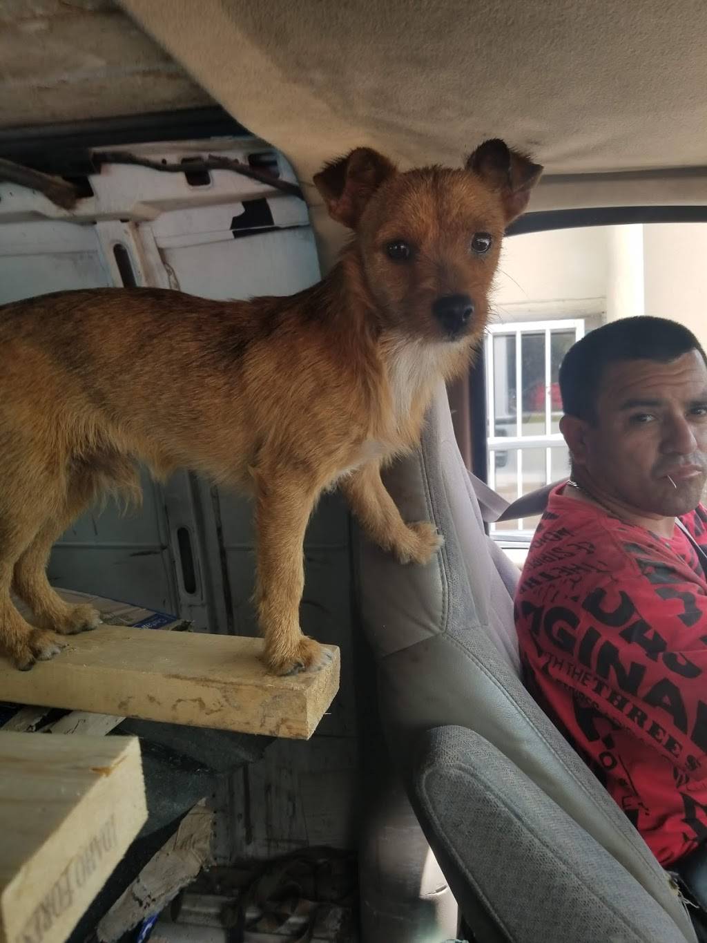 El Puesto | restaurant | 901 Division Ave, San Antonio, TX 78225, USA | 2109329277 OR +1 210-932-9277