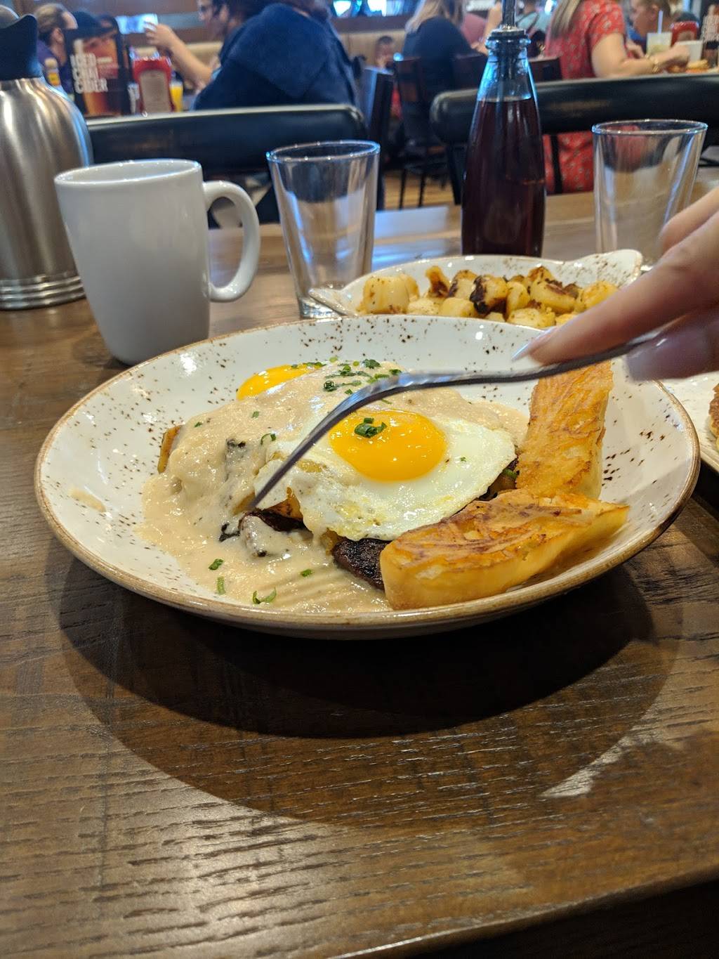 First Watch - Oldsmar - Now Open! | cafe | 3691 Tampa Rd, Oldsmar, FL 34677, USA | 7274665040 OR +1 727-466-5040