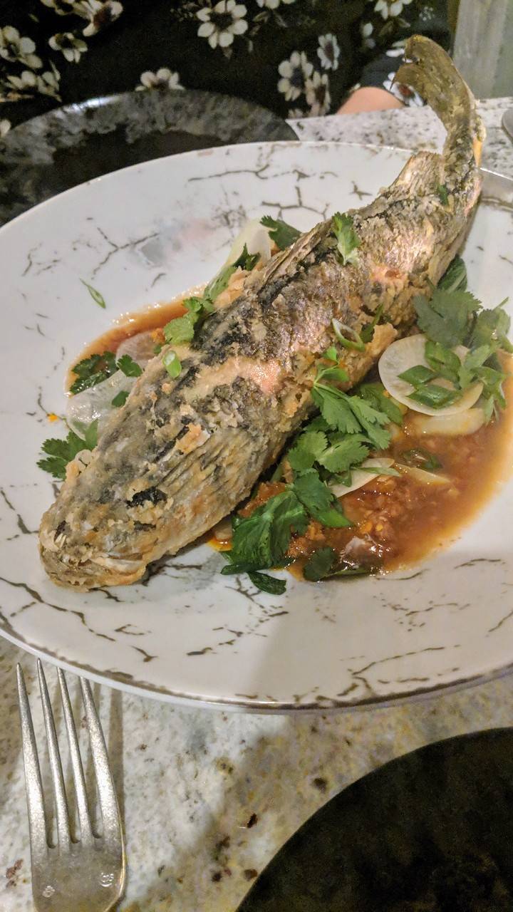 aether fishtown | restaurant | 1832 Frankford Ave, Philadelphia, PA 19125, USA | 2678751832 OR +1 267-875-1832