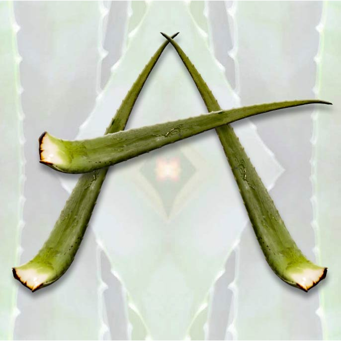 Cephas Hot Shop Restaurant | restaurant | 1701 E 4th Ave, Tampa, FL 33605, USA | 8132479022 OR +1 813-247-9022